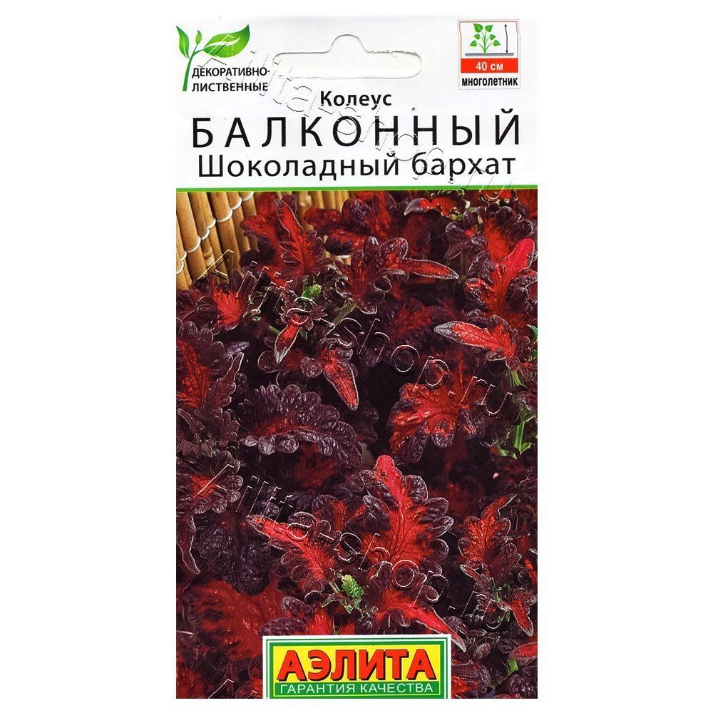 ������ ������ ������ ��������� ���������� ������ ������   ����