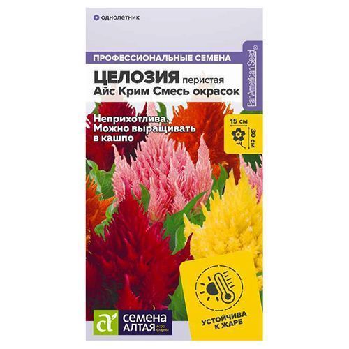 ������ ������ ������� �������� ��� ����, ����� ������� ������ �����   ����