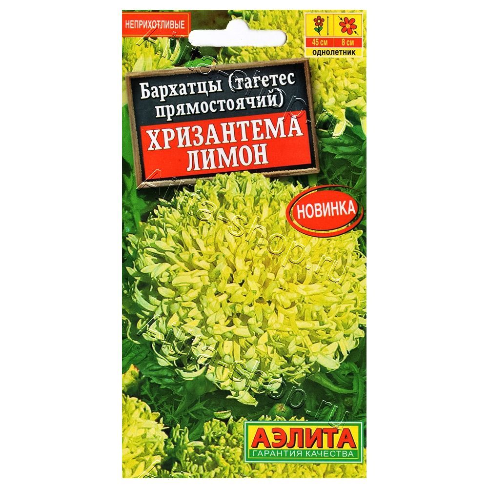 ������ ������ �������� ������������ ���������� ����� ������   ����