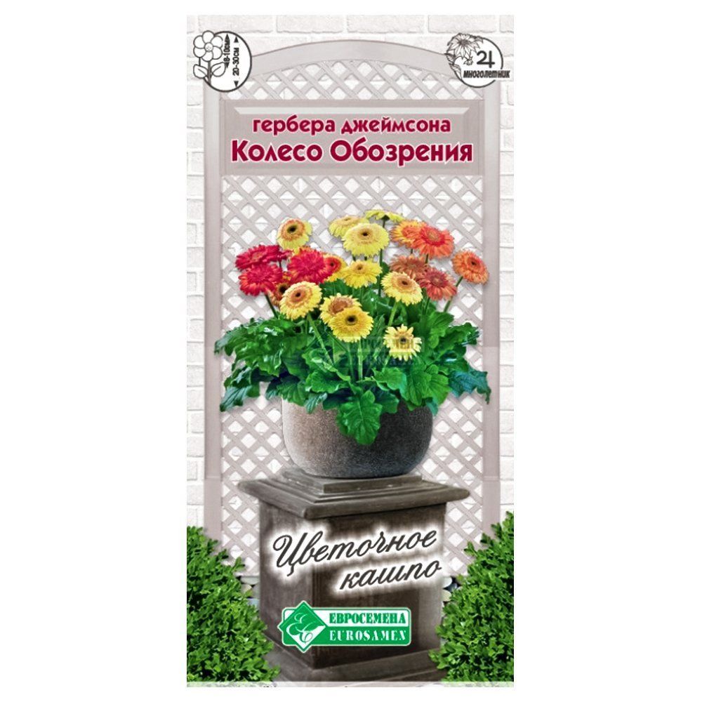 ������ ������ ������� ��������� ������ ���������, ����� ������� ����������   ����