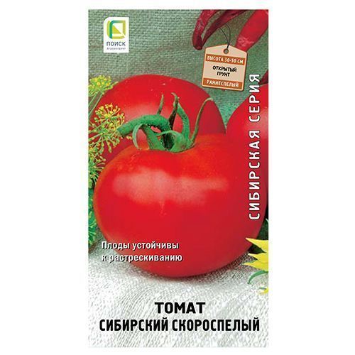 ������ ������ ����� ��������� ����������� �����   ����