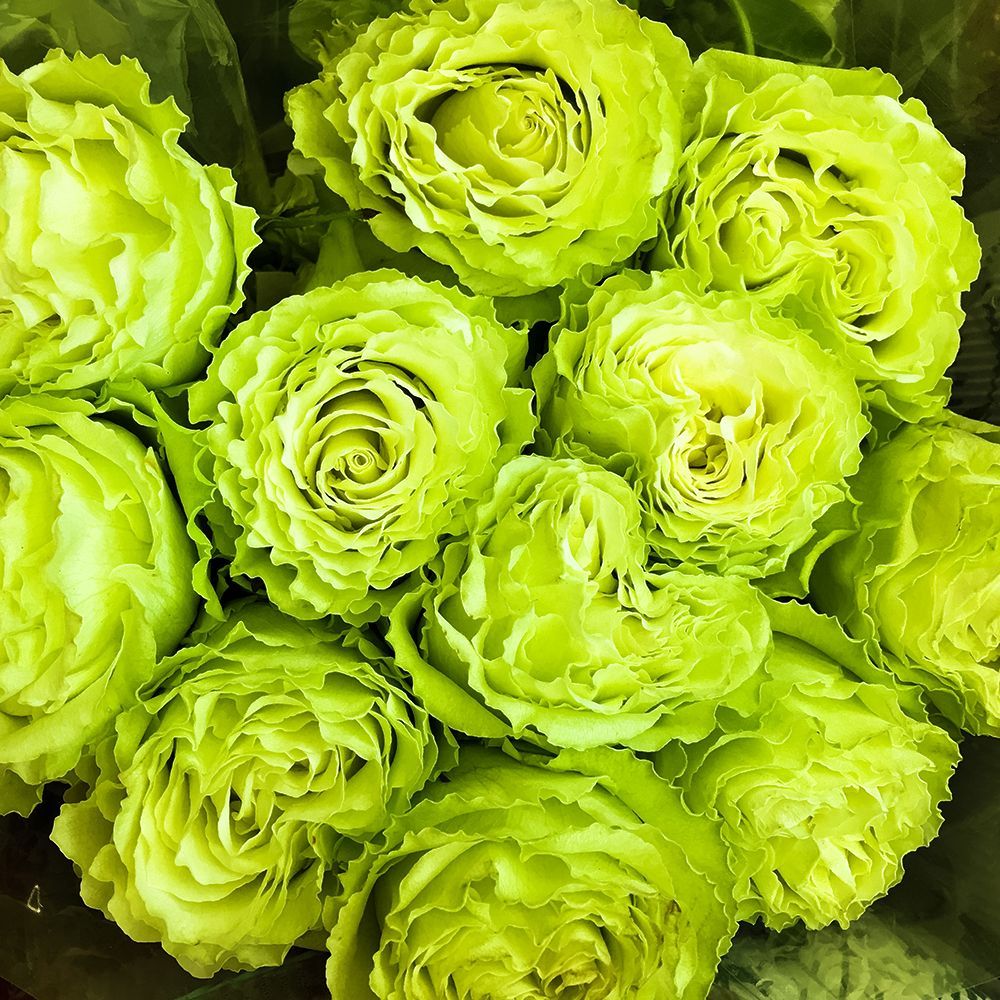 ������ ������ ���� �����-��������� ������� �����   ����