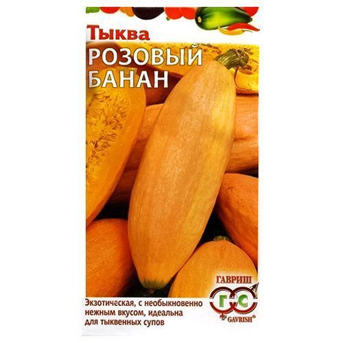 ������ ������ ����� ������� ����� ������   ����