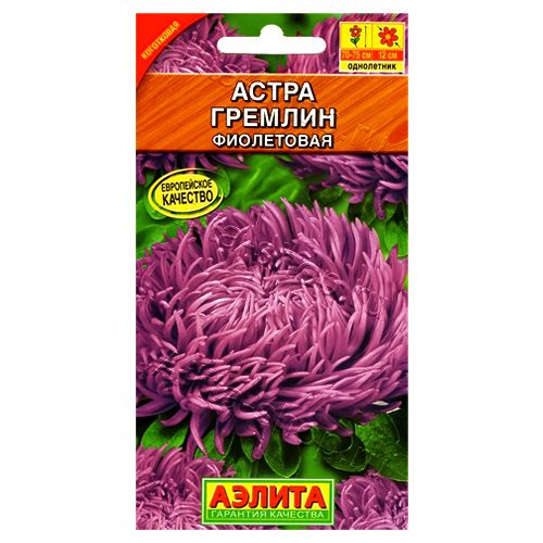 ������ ������ ����� ������� ���������� ������   ����