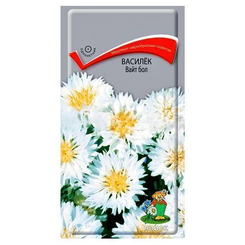 ������ ������ ������� ���� ��� �����   ����