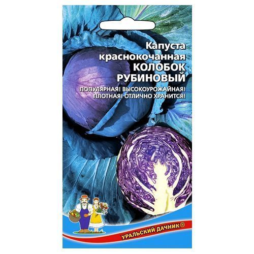 ������ ������ ������� �������������� ������� ��������� ��������� ������   ����