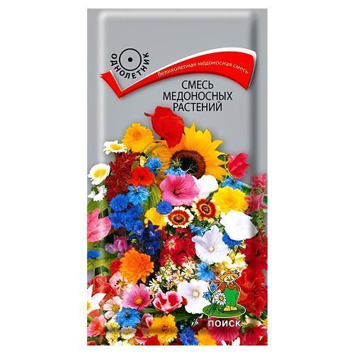 ������ ������ ��������� ����� ���������� �������� �����   ����