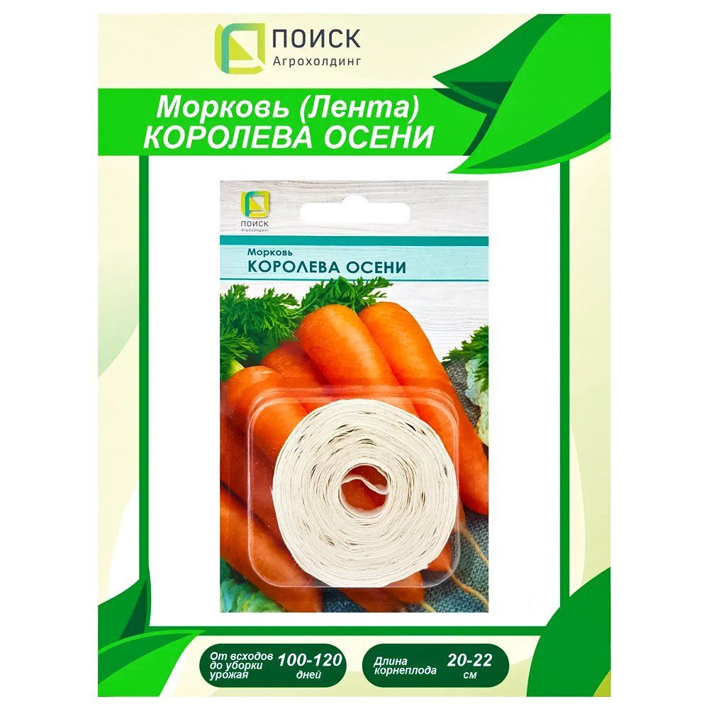 ������ ������ ������� �������� �����, �� ����� �����   ����