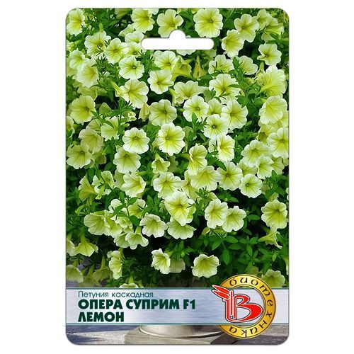 ������ ������ ������� ��������� ����� ������ F1 ����� ����������   ����