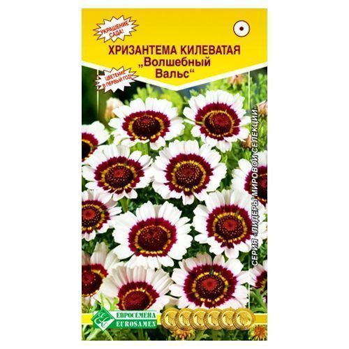 ������ ������ ���������� ��������� ��������� ����� ����������   ����