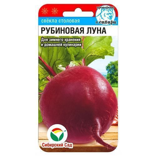 ������ ������ ������ ��������� ���� ��������� ���   ����