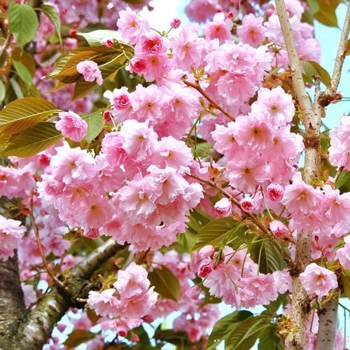 ������ ������ ������ �������   ����