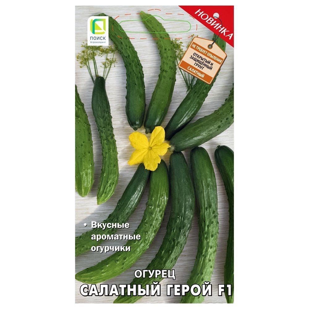 ������ ������ ������ �������� ����� F1 �����   ����