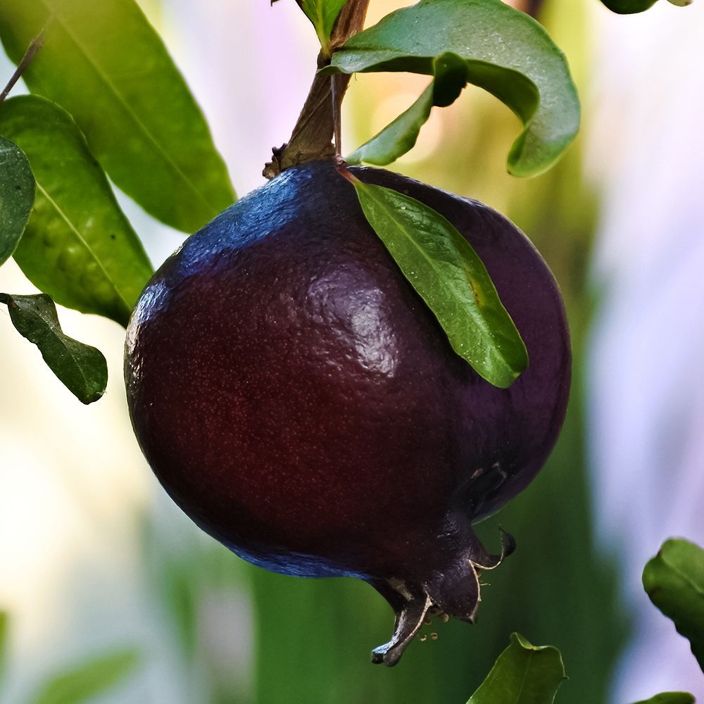 ������ ������ ������ ���������� ������ ������� ���   ����