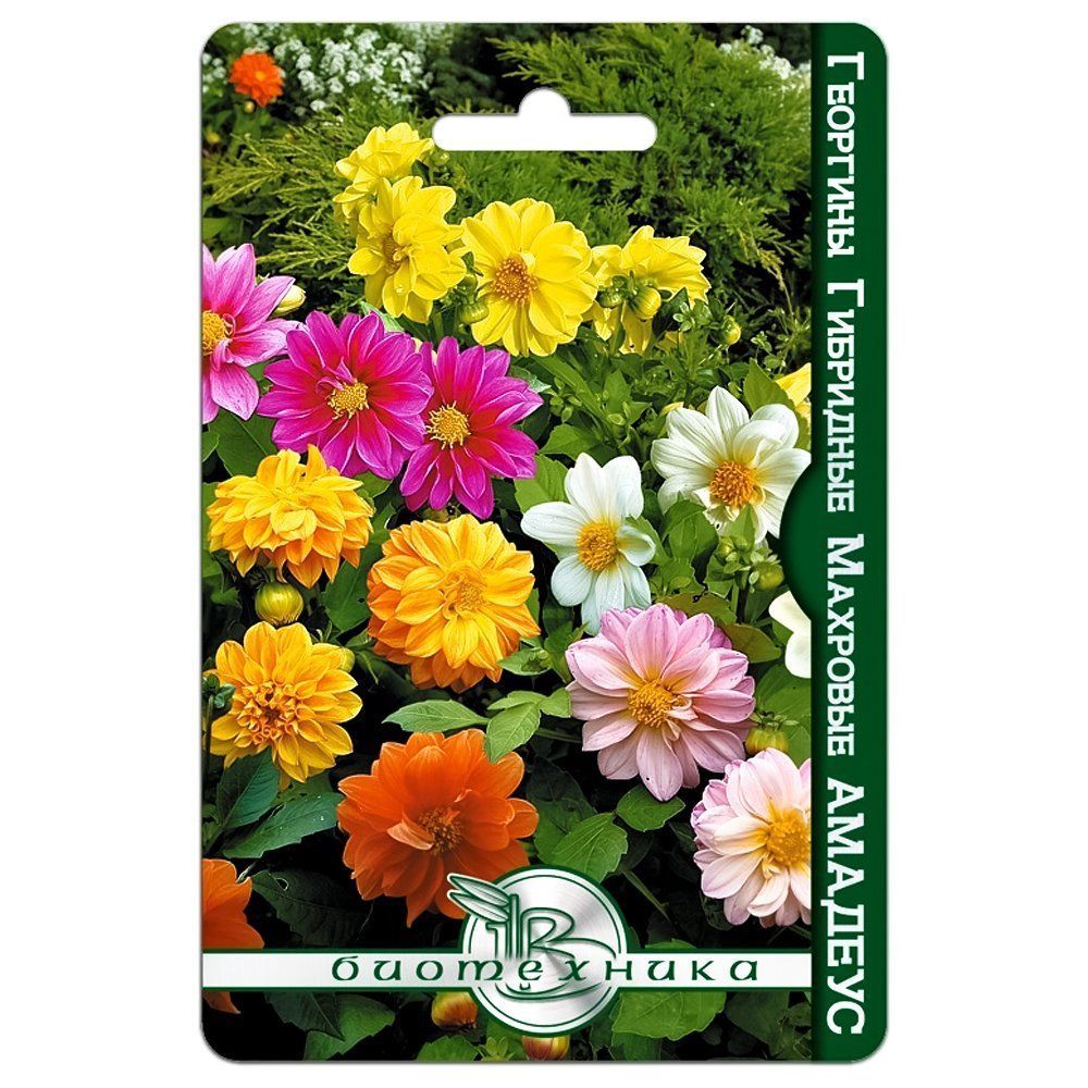 ������ ������ �������� �������� �������, ����� ������� ����������   ����