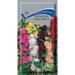 ������ ������ ����-���� ����� �������   ����