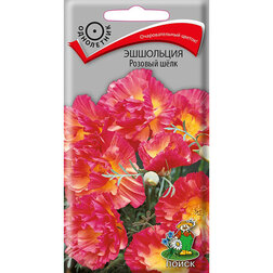 ������ ������ ��������� ������� ����   ����