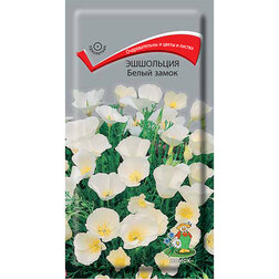 ������ ������ ��������� ����� �����   ����