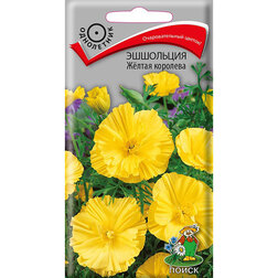 ������ ������ ��������� Ƹ���� ��������   ����