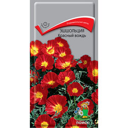 ������ ������ ��������� ������� �����   ����