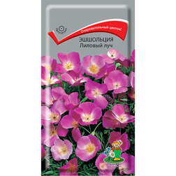 ������ ������ ��������� ������� ���   ����