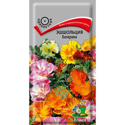 ������ ������ ��������� ��������   ����