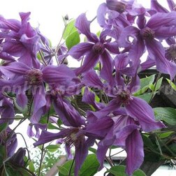 ������ ������ �������� ������������ ����� �����   ����