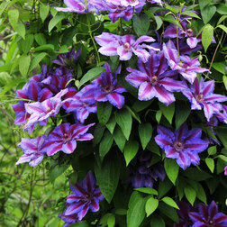 ������ ������ �������� ��������������� ������   ����