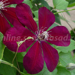 ������ ������ �������� ��������������� ������������   ����