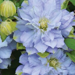 ������ ������ �������� ��������������� ������� ����   ����