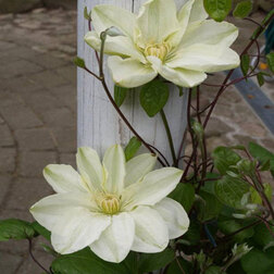 ������ ������ �������� ��������������� ������ ����   ����