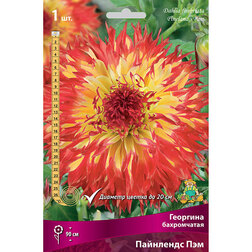 ������ ������ �������� ����������� ��������� ���   ����