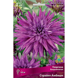 ������ ������ �������� ����������� ������� ������   ����