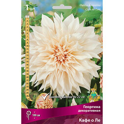 ������ ������ �������� ������������ ���� � ��   ����