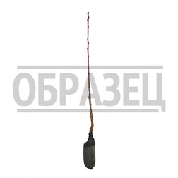 ������ ������ ����� ������� (�����) ��������   ����