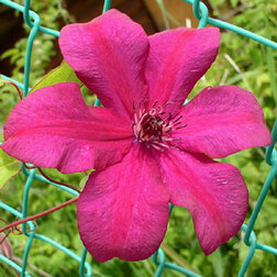 ������ ������ �������� ��������������� �������� ���������   ����