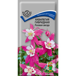 ������ ������ ��������� ��������� ������� ������   ����