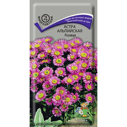 ������ ������ ����� ���������� �������   ����