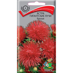 ������ ������ ����� ���������� ���� �������   ����