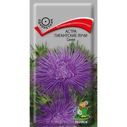 ������ ������ ����� ���������� ���� �����   ����