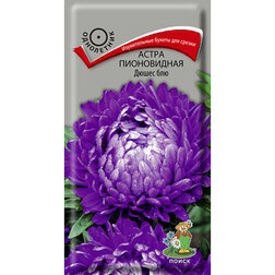 ������ ������ ����� ����������� ����� ���   ����