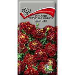 ������ ������ �������� ����������� �������� ������� �����   ����