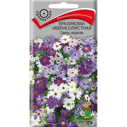 ������ ������ ��������� �������������� ����� �������   ����