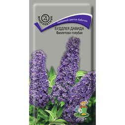 ������ ������ ������� ������ ���������-�������   ����