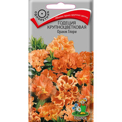 ������ ������ ������� ��������������� ����� �����   ����