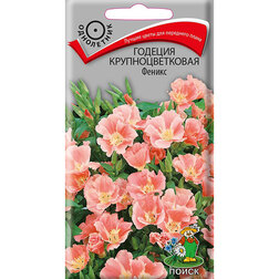 ������ ������ ������� ��������������� ������   ����