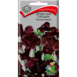 ������ ������ �������� ������� ������� ������   ����