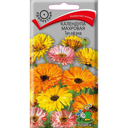 ������ ������ ��������� �������� ��� �� ���   ����