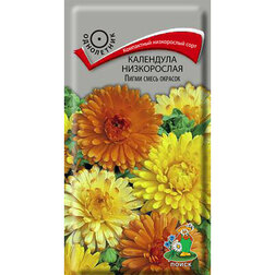 ������ ������ ��������� ����������� ����� ����� �������   ����