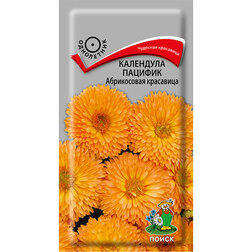 ������ ������ ��������� ������� ����������� ���������   ����